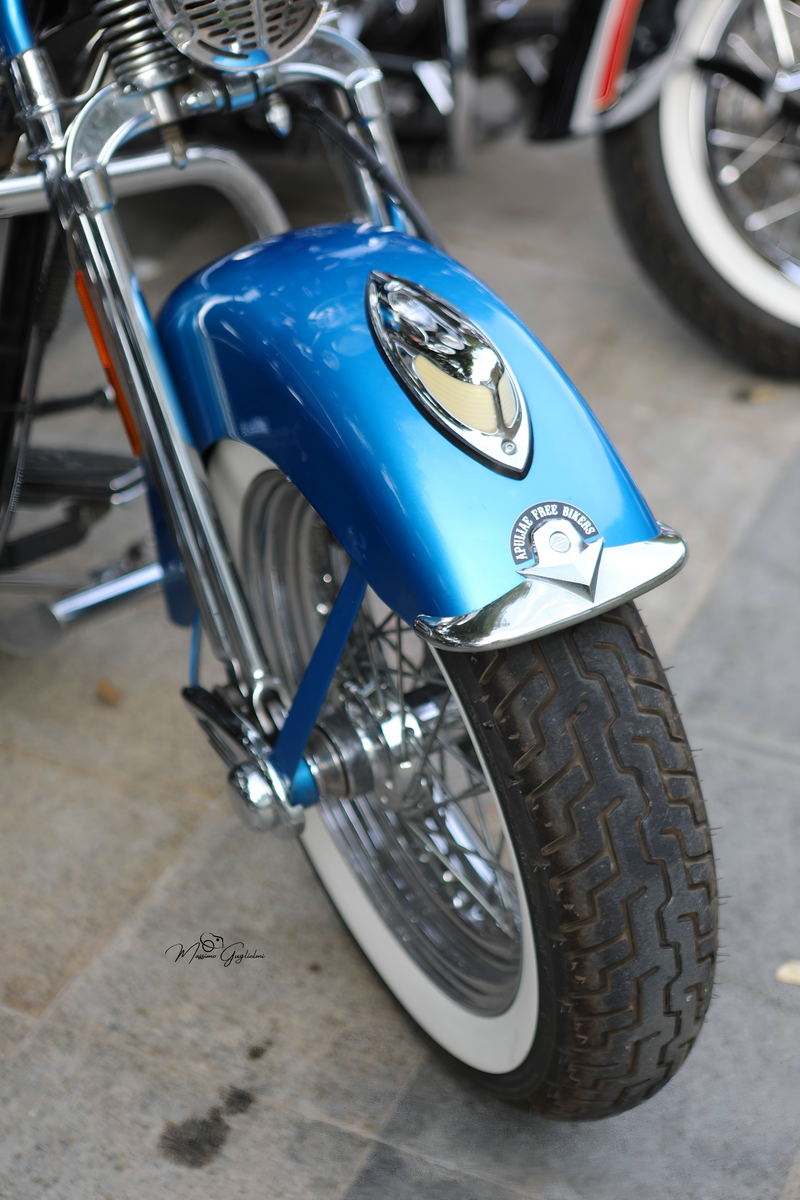 IL FASCINO DELLA HARLEY DAVIDSON