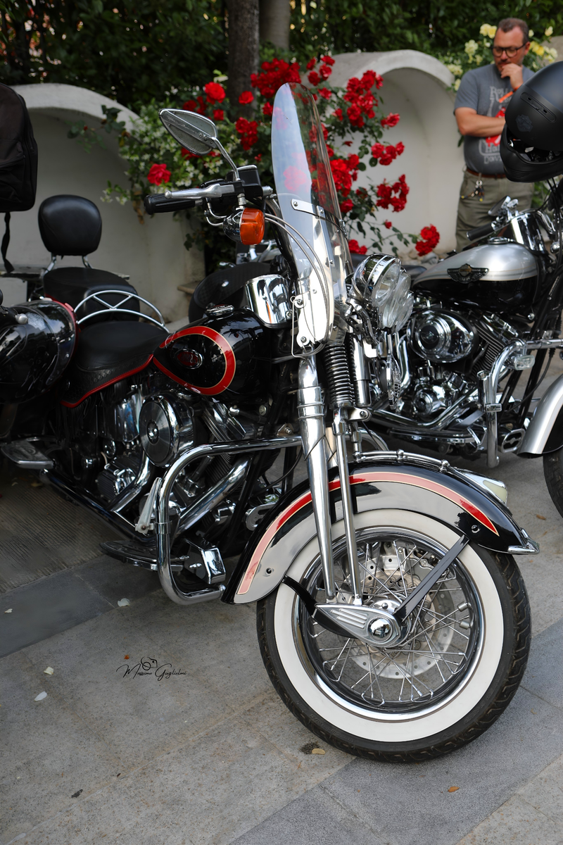 IL FASCINO DELLA HARLEY DAVIDSON