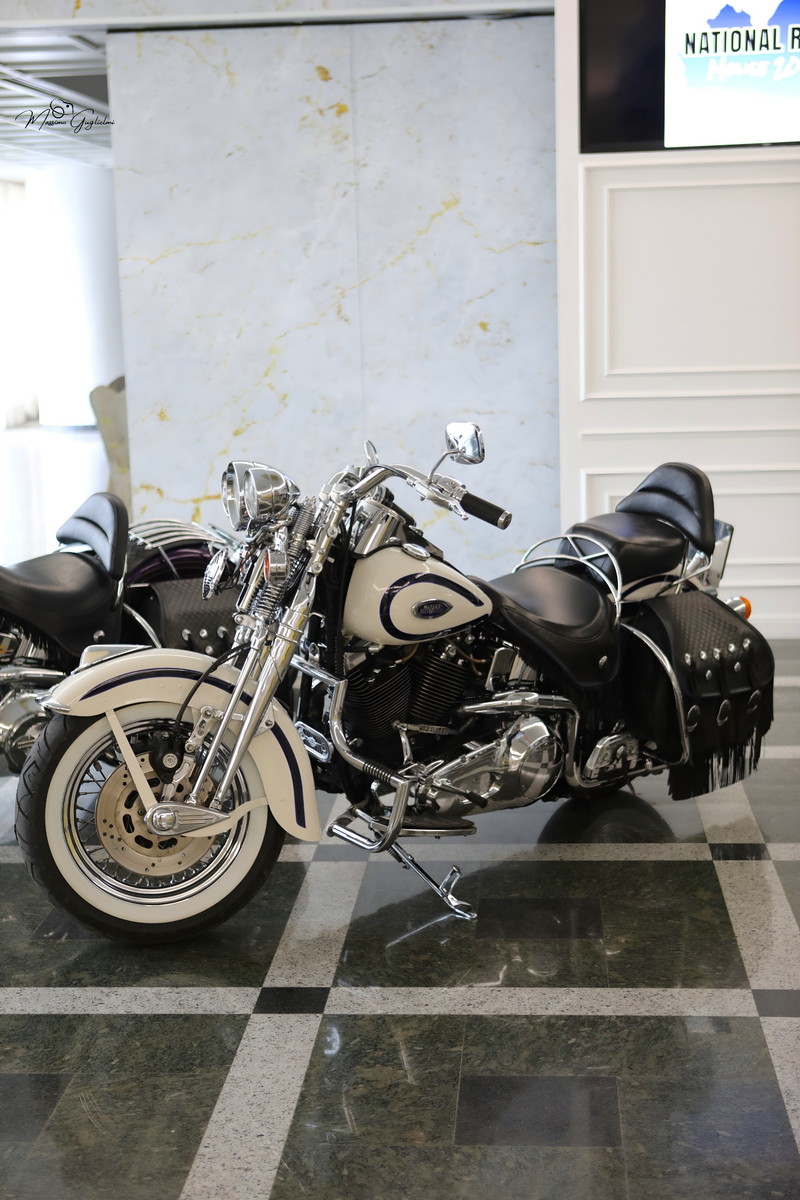IL FASCINO DELLA HARLEY DAVIDSON