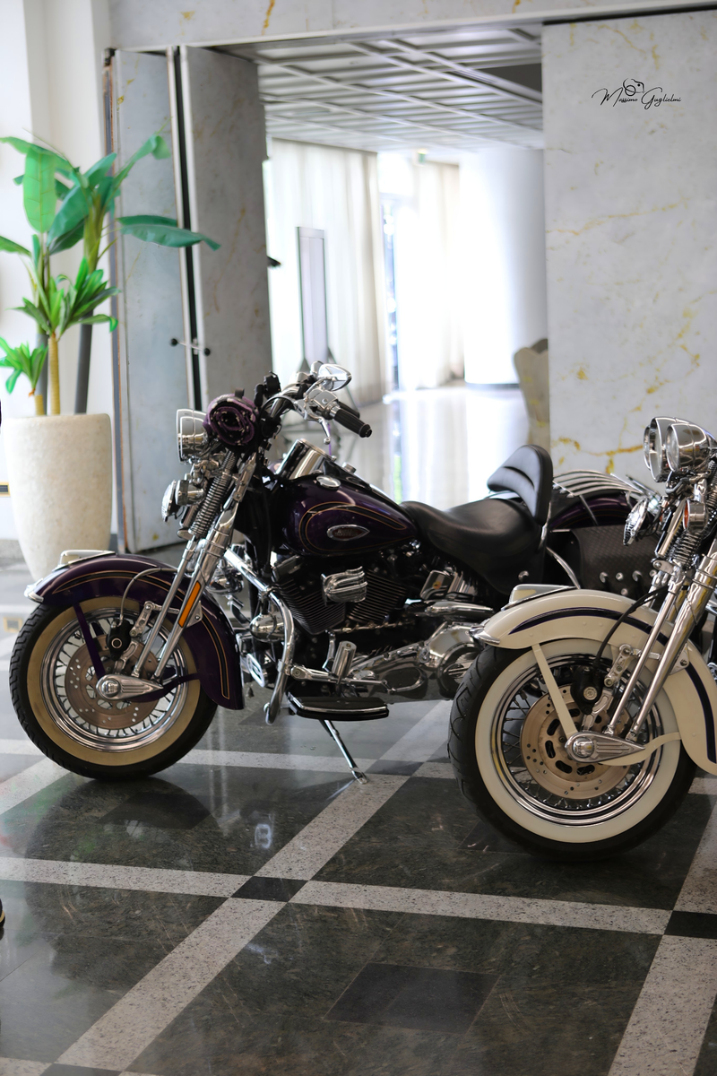 IL FASCINO DELLA HARLEY DAVIDSON