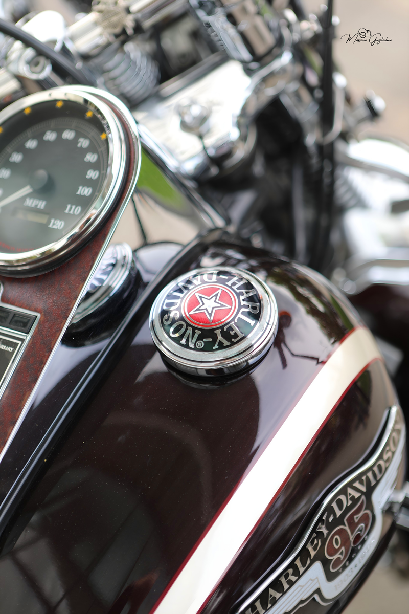 IL FASCINO DELLA HARLEY DAVIDSON