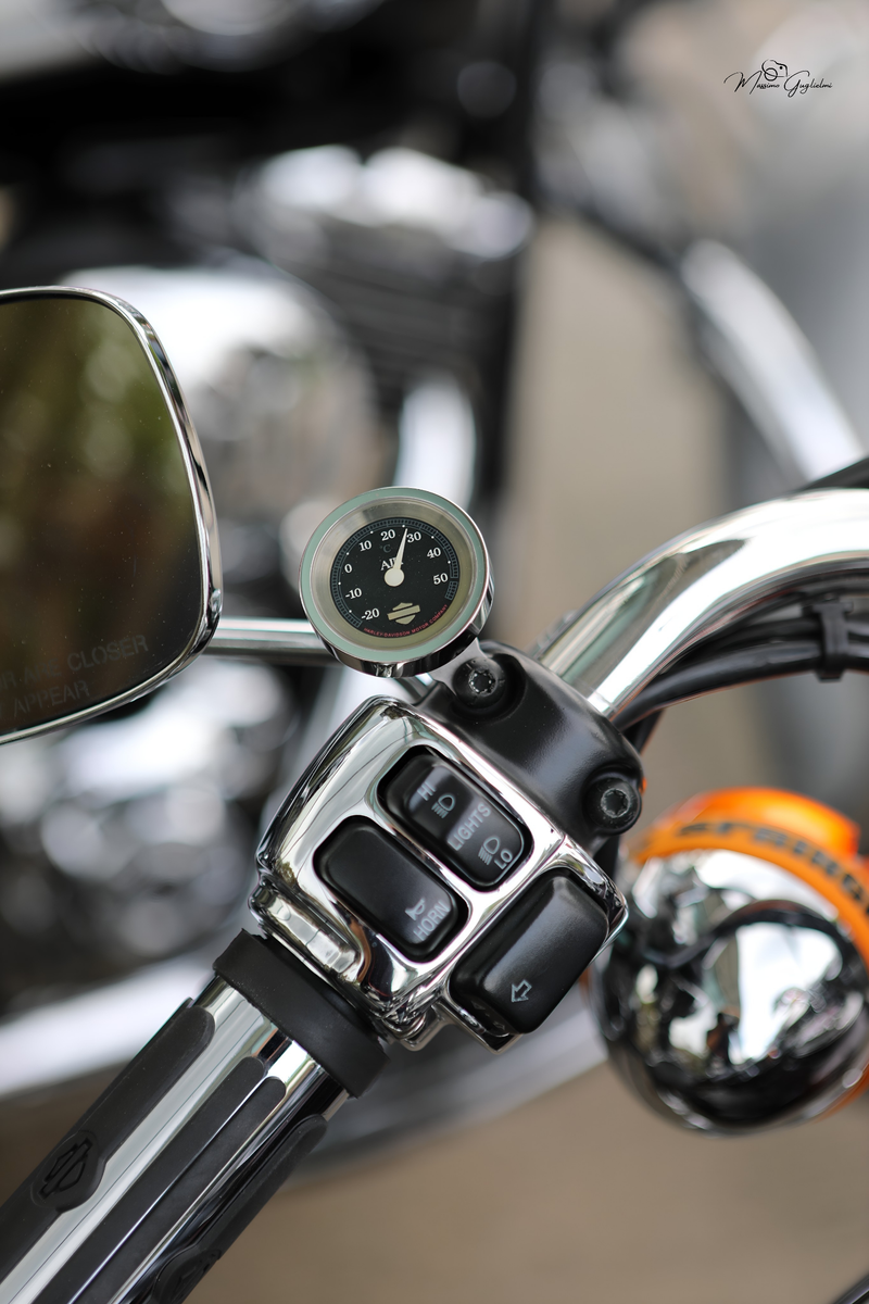 IL FASCINO DELLA HARLEY DAVIDSON