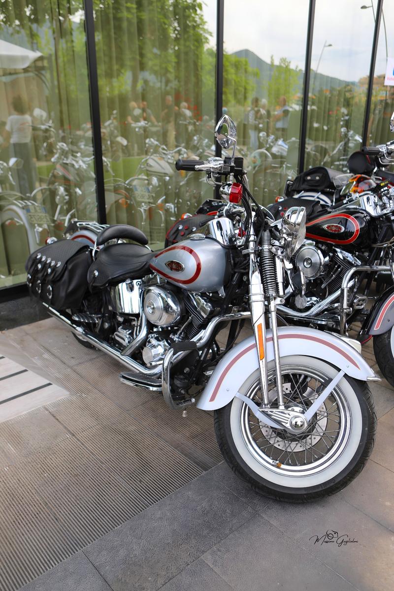 IL FASCINO DELLA HARLEY DAVIDSON