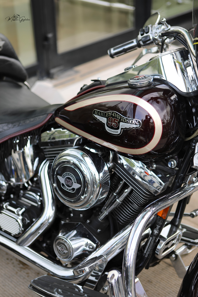 IL FASCINO DELLA HARLEY DAVIDSON