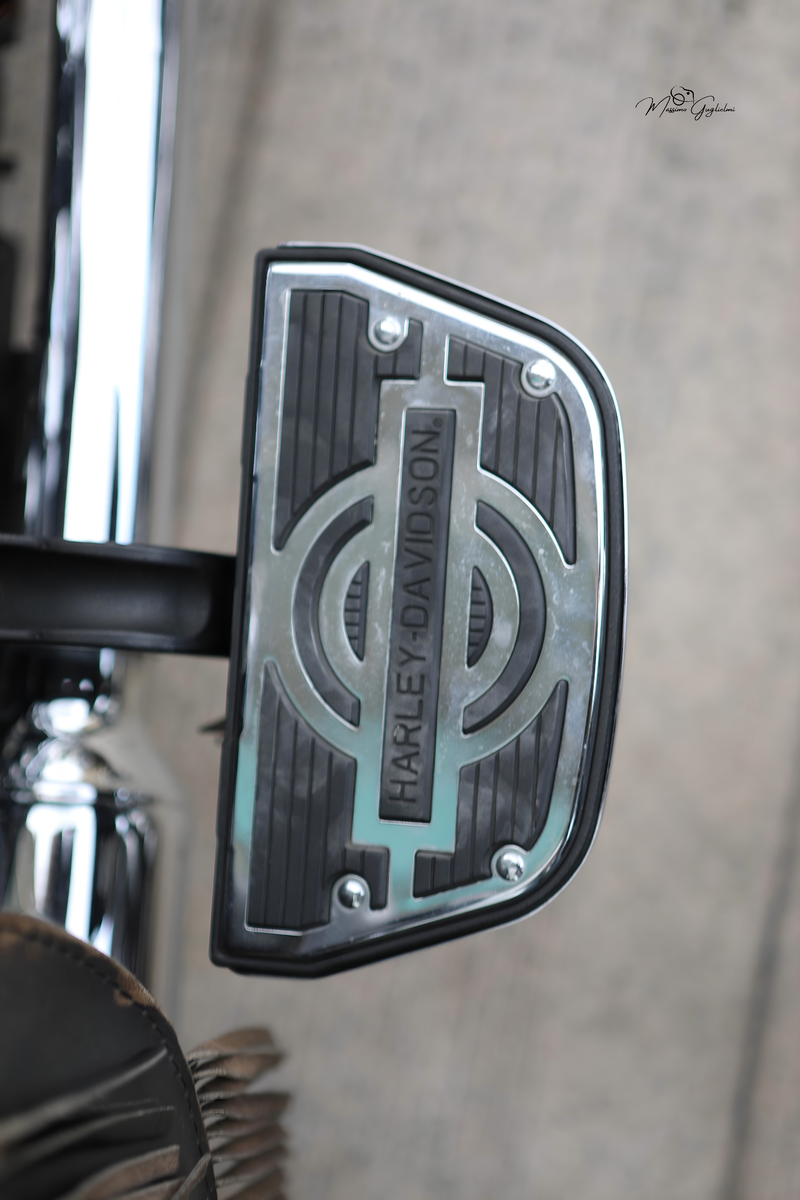 IL FASCINO DELLA HARLEY DAVIDSON