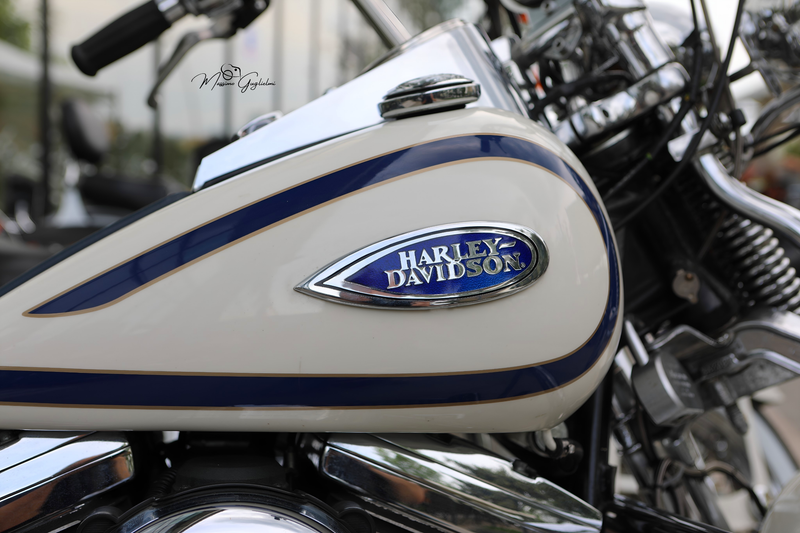 IL FASCINO DELLA HARLEY DAVIDSON
