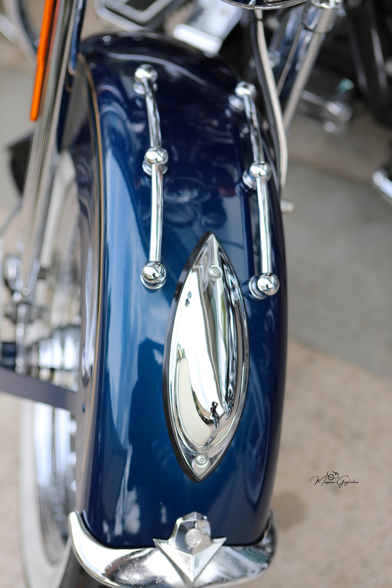 IL FASCINO DELLA HARLEY DAVIDSON