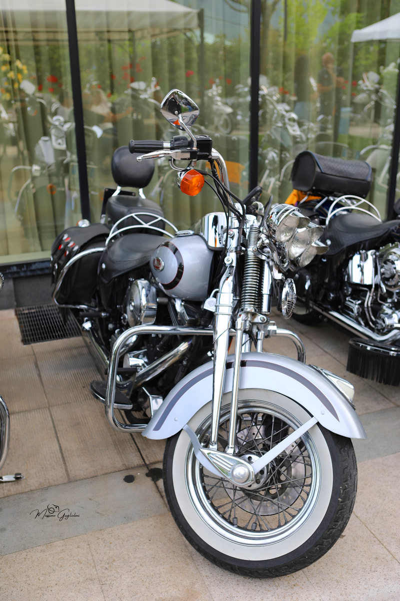 IL FASCINO DELLA HARLEY DAVIDSON