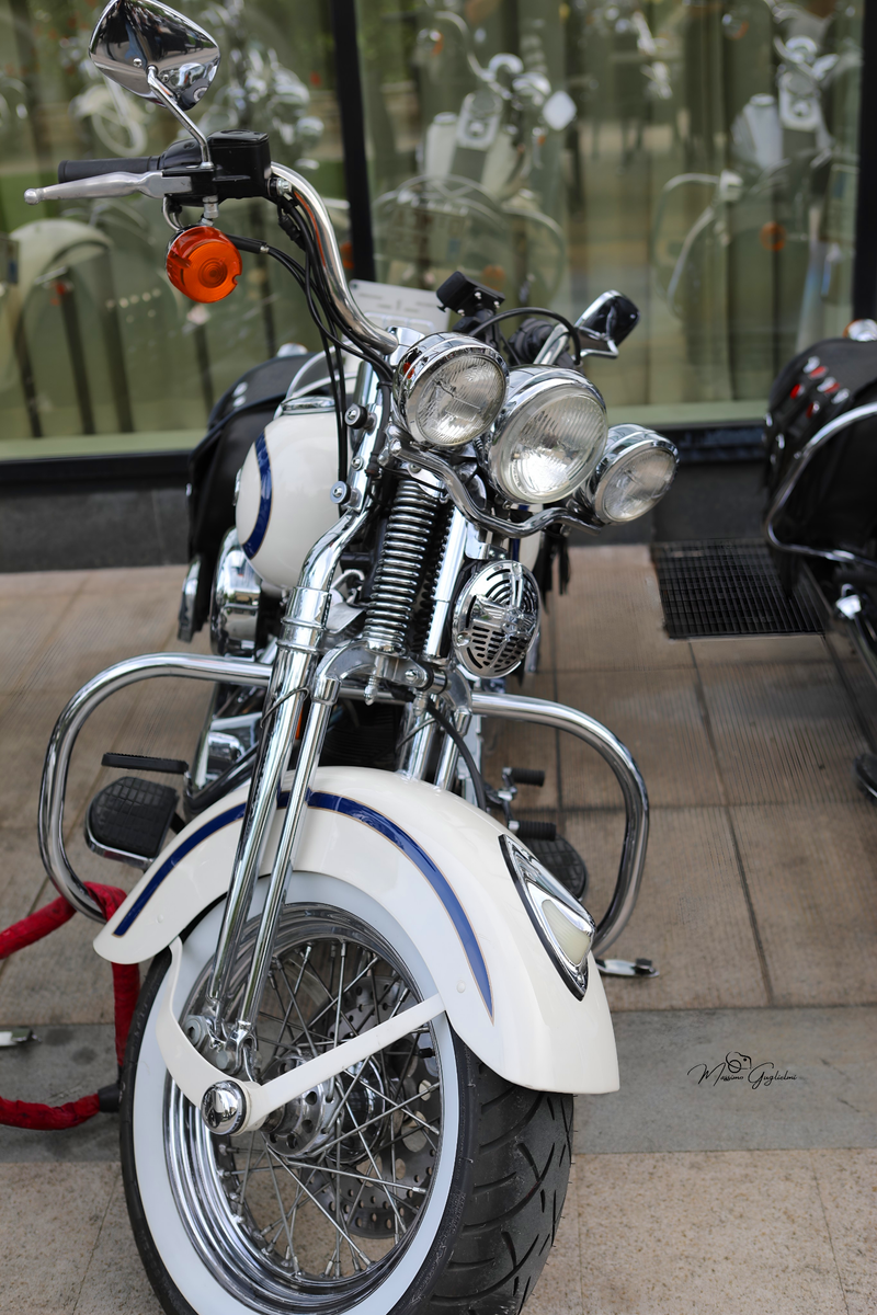 IL FASCINO DELLA HARLEY DAVIDSON