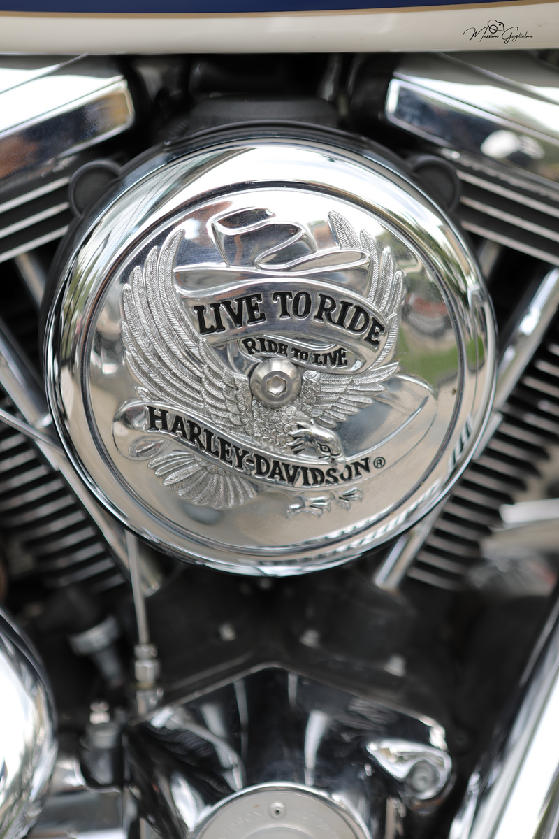IL FASCINO DELLA HARLEY DAVIDSON