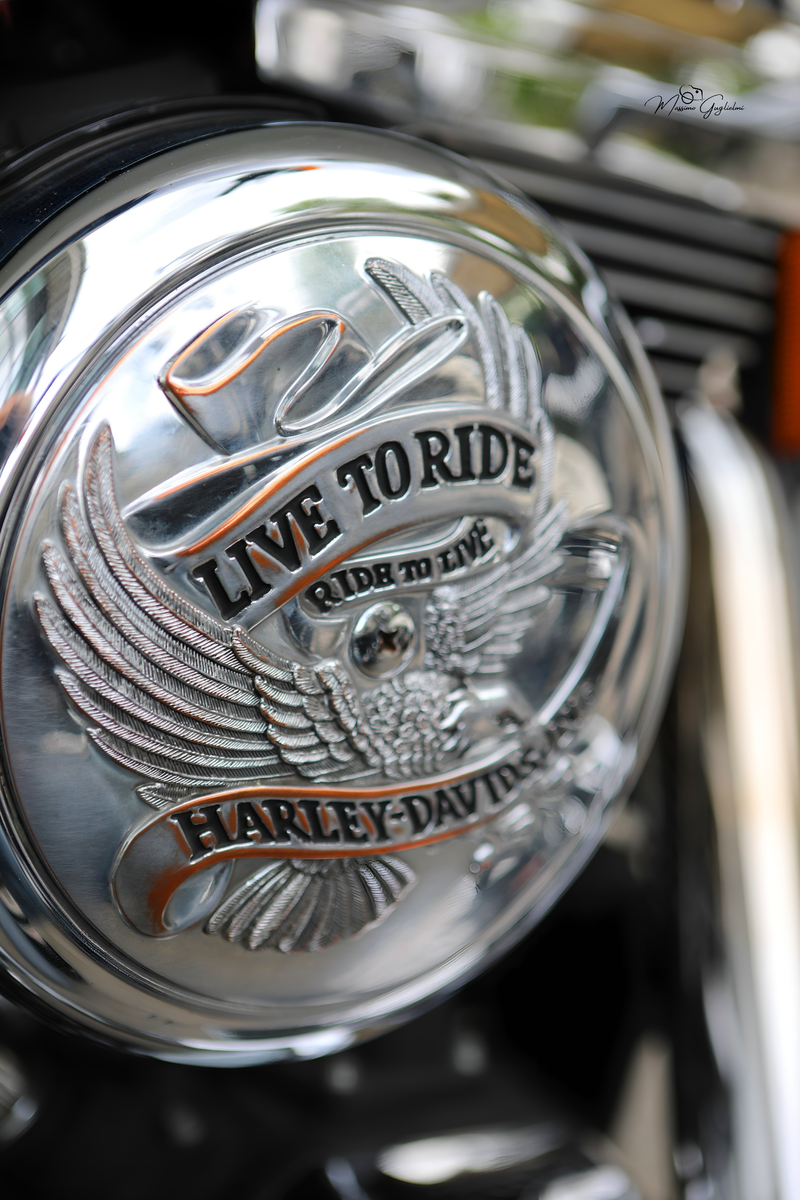 IL FASCINO DELLA HARLEY DAVIDSON