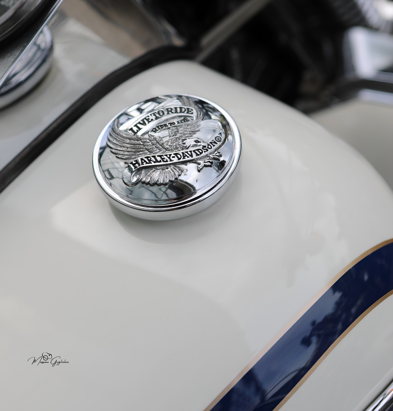 IL FASCINO DELLA HARLEY DAVIDSON