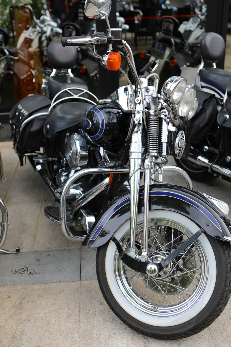 IL FASCINO DELLA HARLEY DAVIDSON