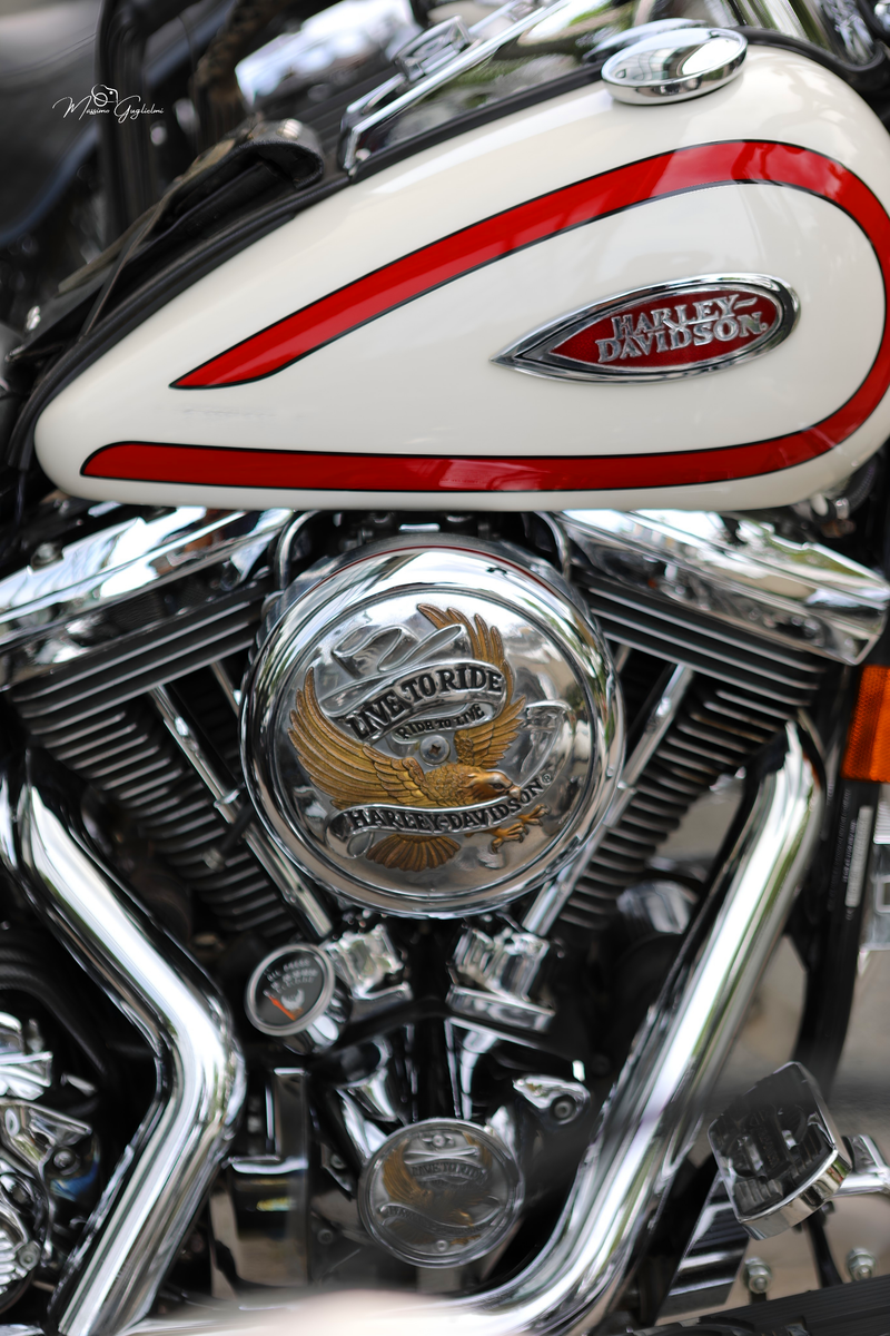 IL FASCINO DELLA HARLEY DAVIDSON