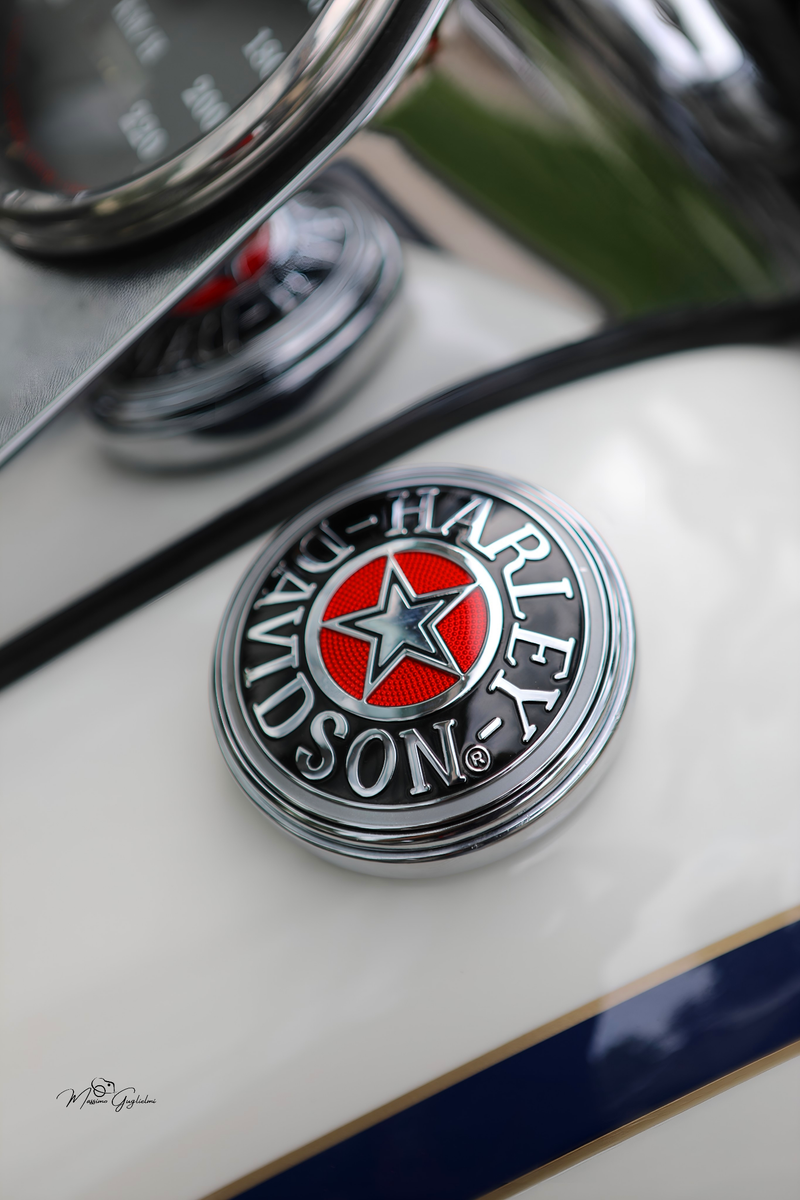 IL FASCINO DELLA HARLEY DAVIDSON