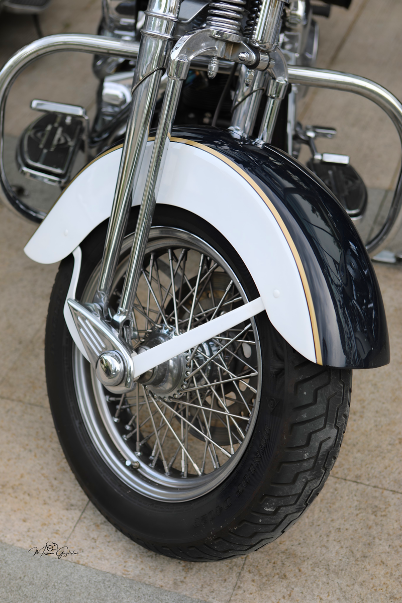 IL FASCINO DELLA HARLEY DAVIDSON