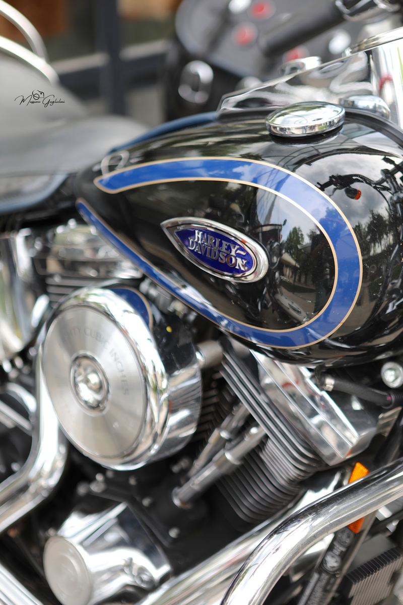 IL FASCINO DELLA HARLEY DAVIDSON