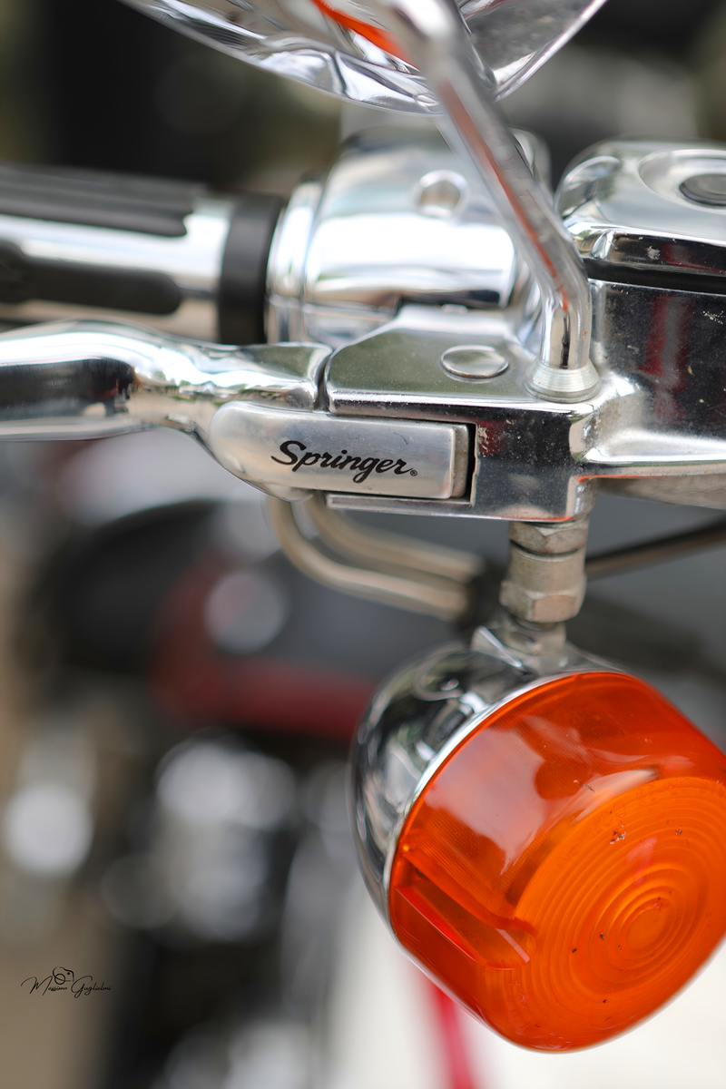IL FASCINO DELLA HARLEY DAVIDSON
