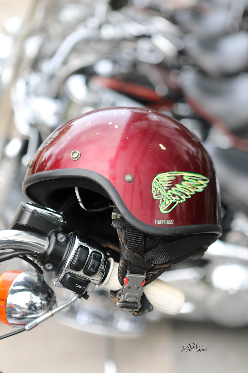 IL FASCINO DELLA HARLEY DAVIDSON