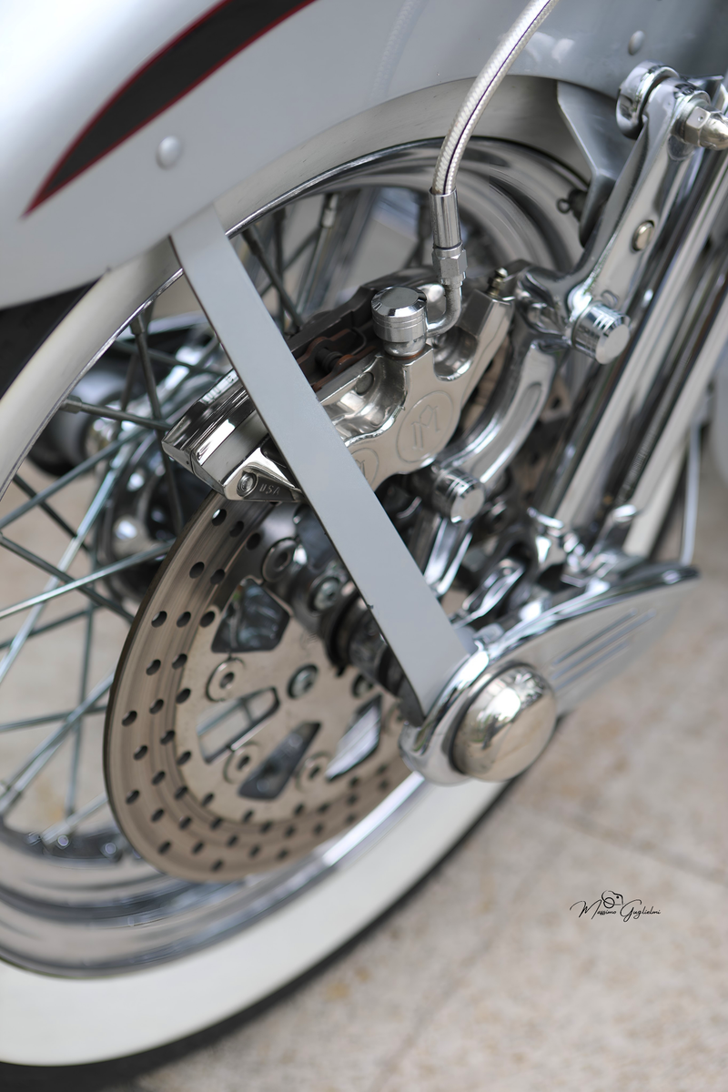 IL FASCINO DELLA HARLEY DAVIDSON