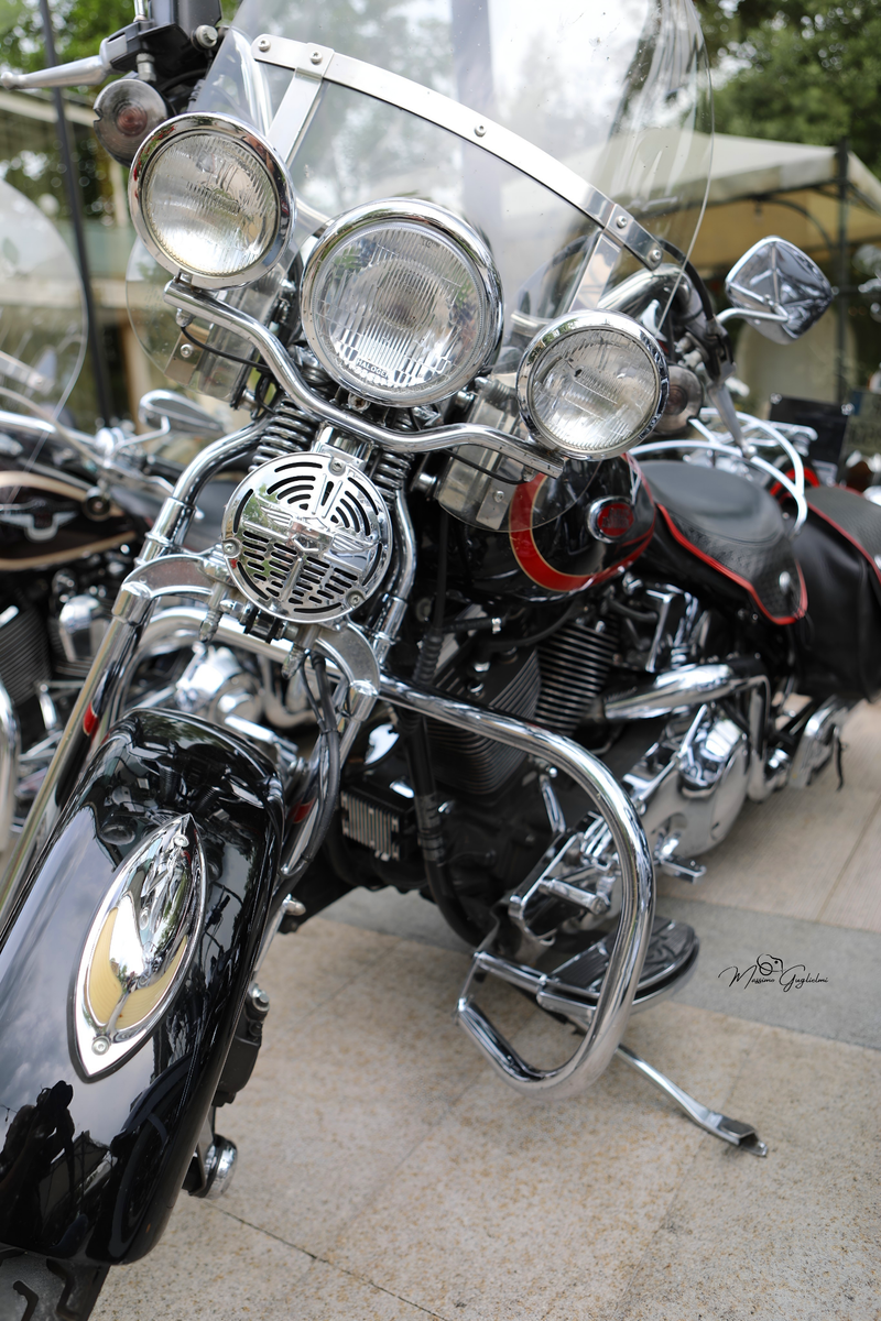 IL FASCINO DELLA HARLEY DAVIDSON