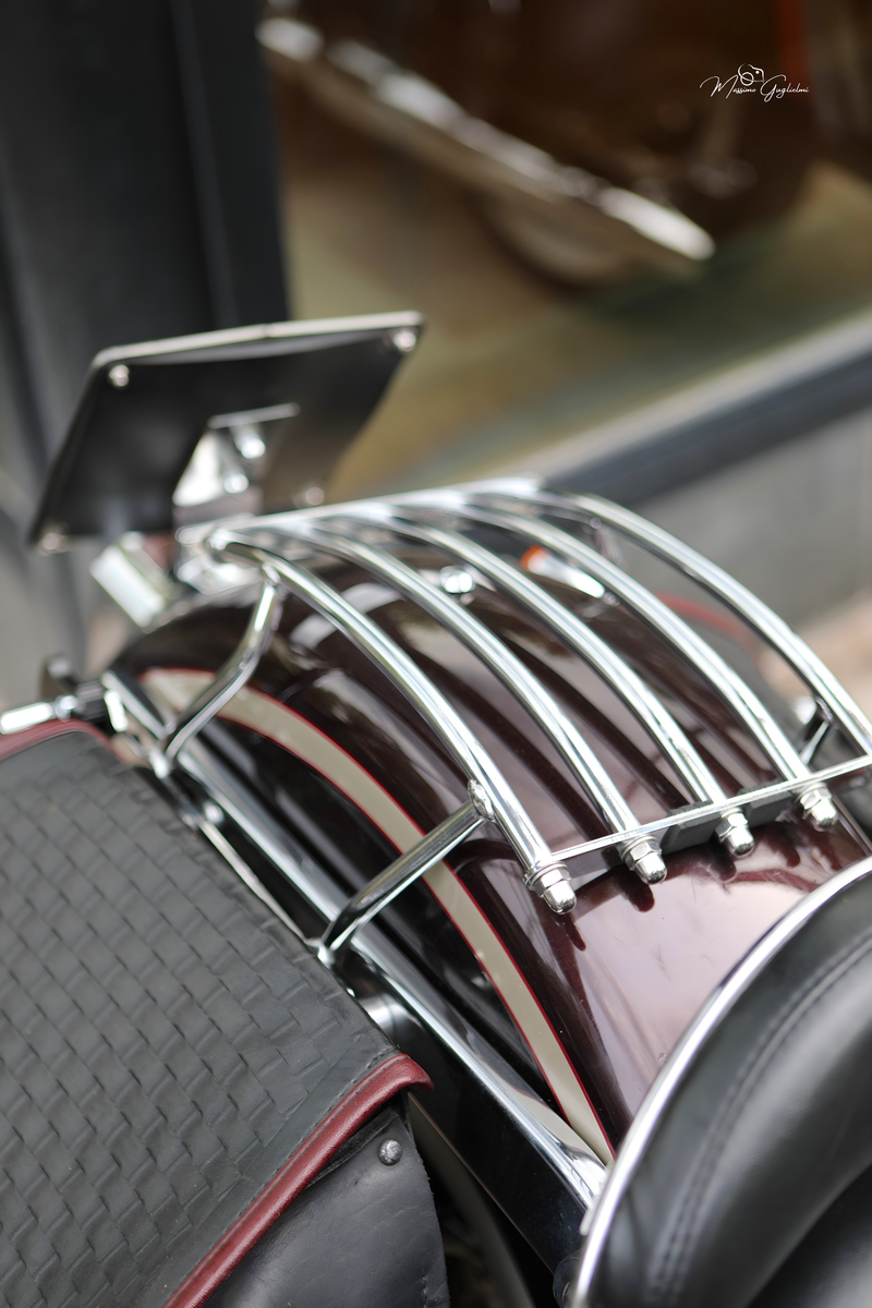 IL FASCINO DELLA HARLEY DAVIDSON