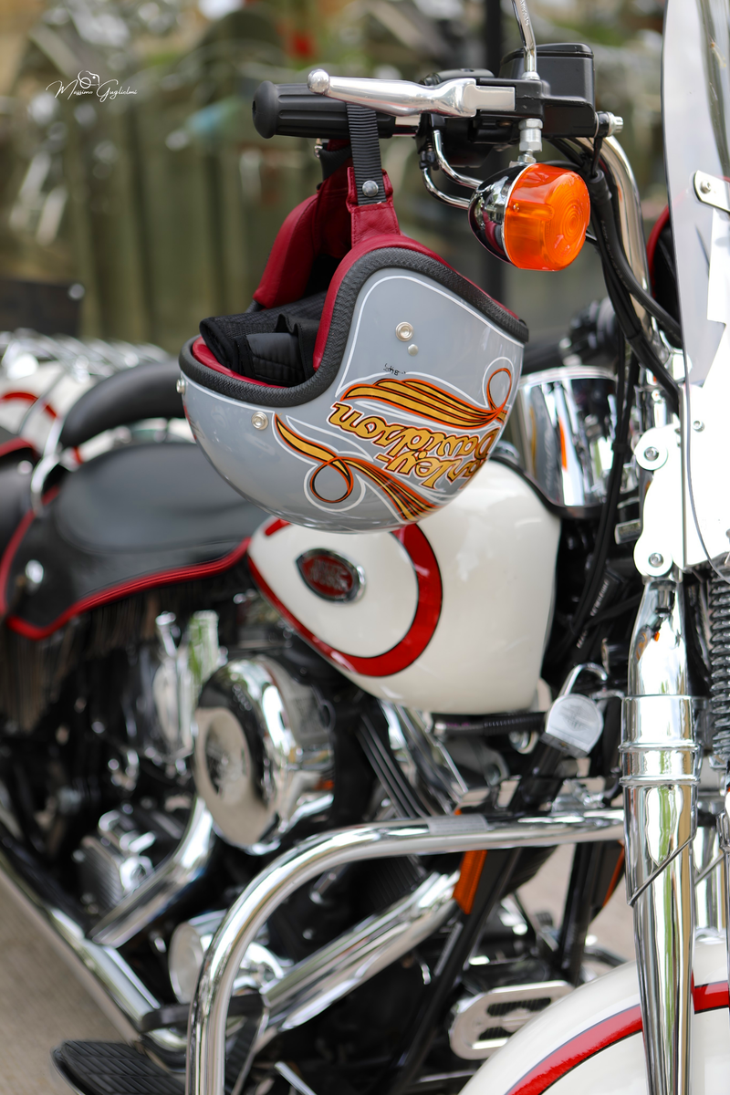 IL FASCINO DELLA HARLEY DAVIDSON