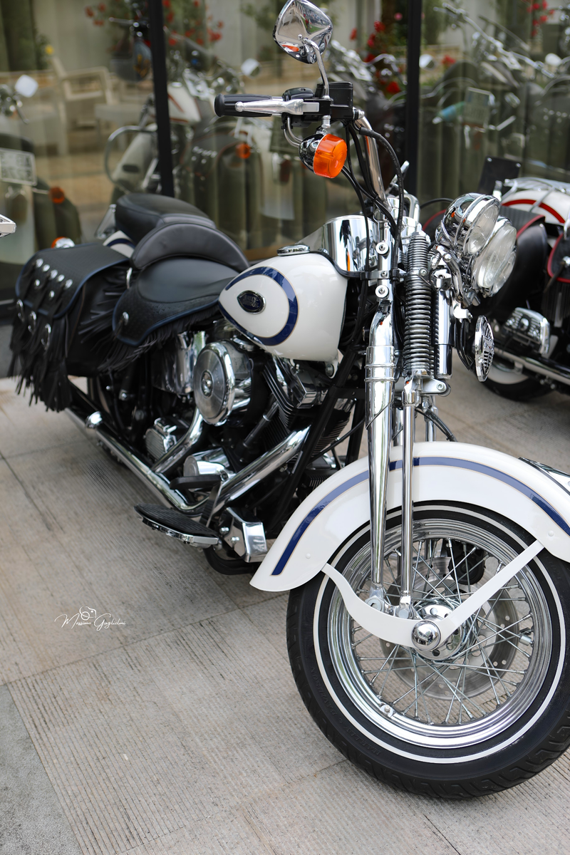 IL FASCINO DELLA HARLEY DAVIDSON