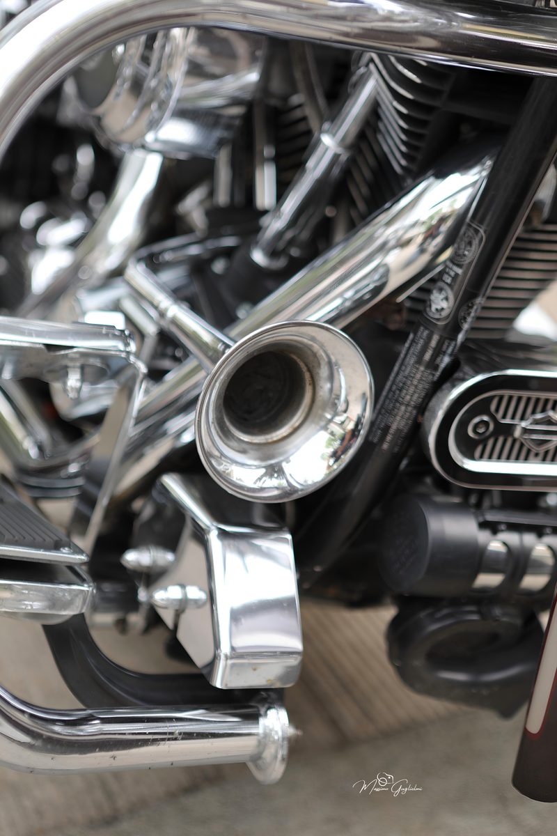 IL FASCINO DELLA HARLEY DAVIDSON