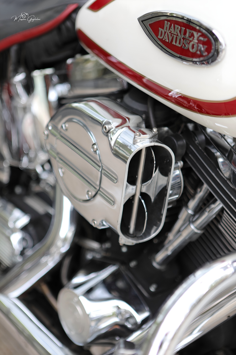 IL FASCINO DELLA HARLEY DAVIDSON