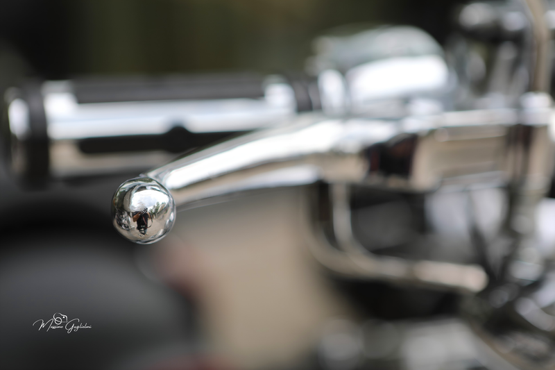 IL FASCINO DELLA HARLEY DAVIDSON