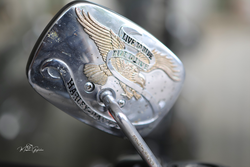 IL FASCINO DELLA HARLEY DAVIDSON