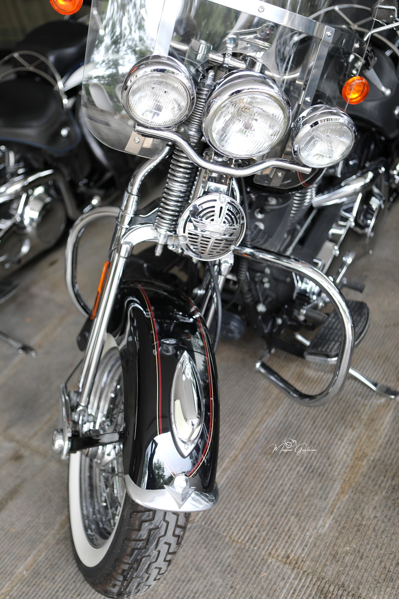 IL FASCINO DELLA HARLEY DAVIDSON