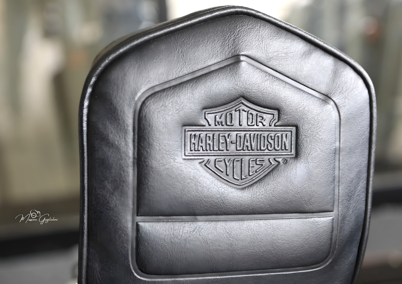 IL FASCINO DELLA HARLEY DAVIDSON