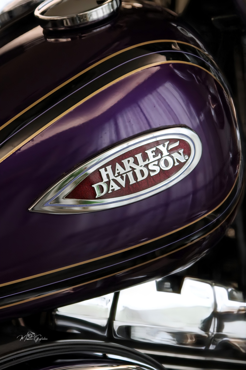IL FASCINO DELLA HARLEY DAVIDSON