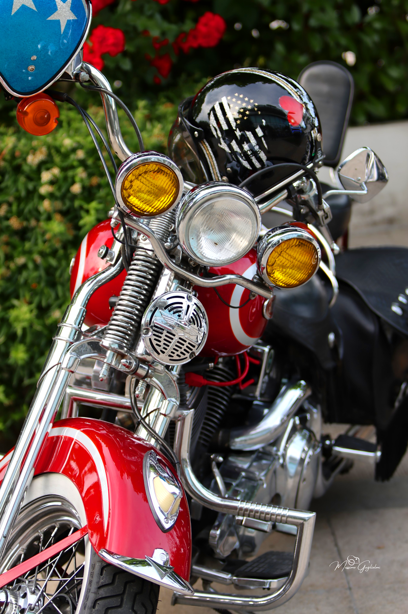 IL FASCINO DELLA HARLEY DAVIDSON