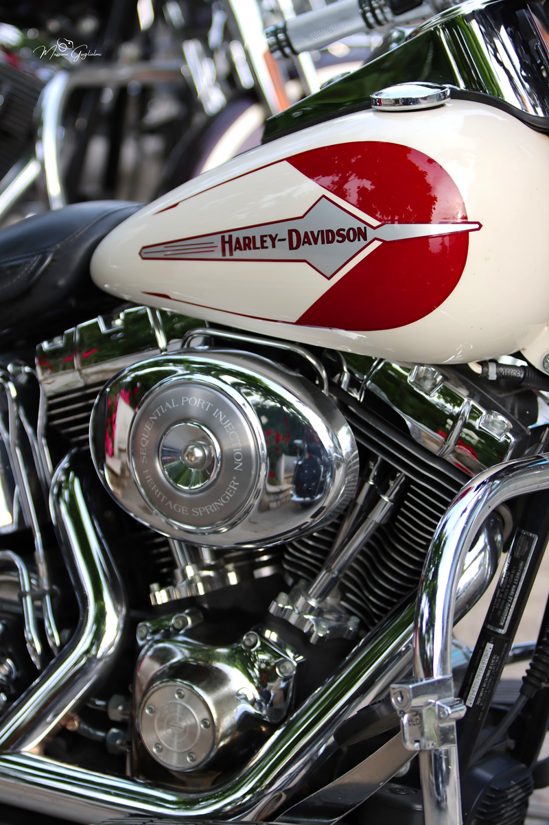 IL FASCINO DELLA HARLEY DAVIDSON
