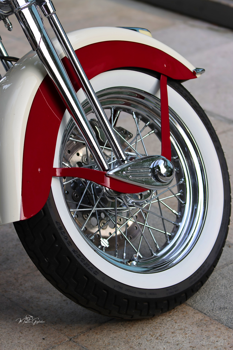 IL FASCINO DELLA HARLEY DAVIDSON