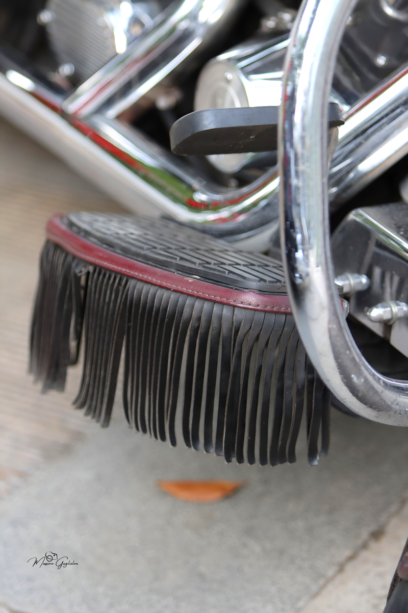 IL FASCINO DELLA HARLEY DAVIDSON