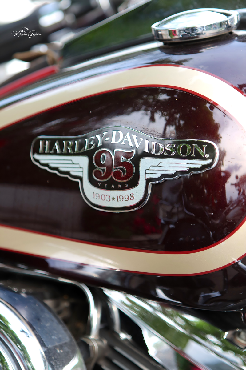 IL FASCINO DELLA HARLEY DAVIDSON