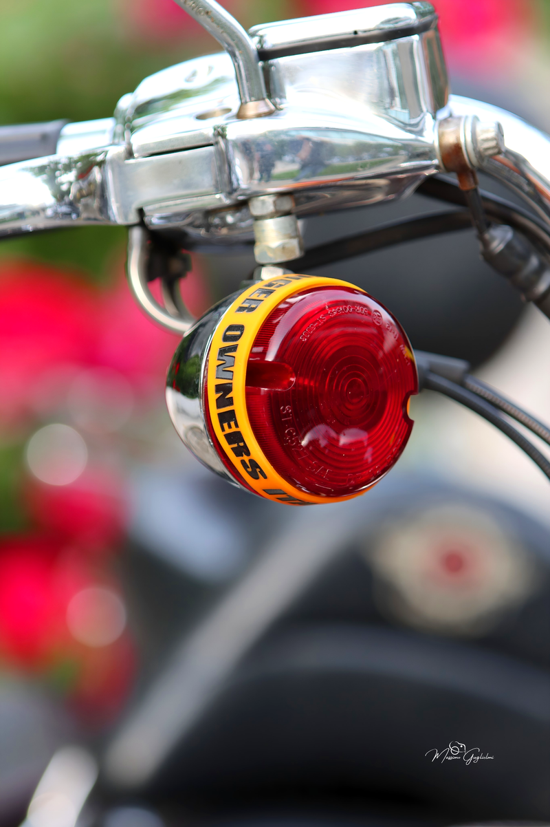 IL FASCINO DELLA HARLEY DAVIDSON