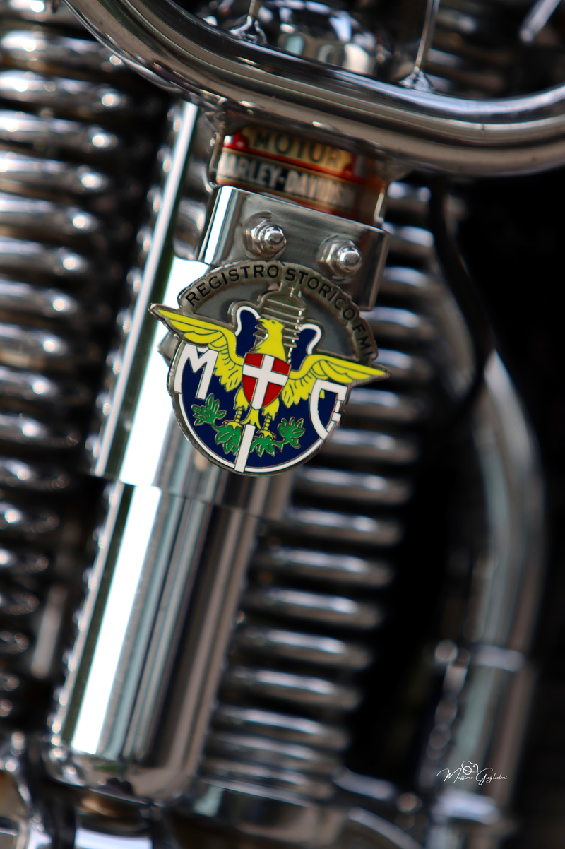 IL FASCINO DELLA HARLEY DAVIDSON