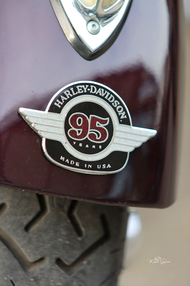 IL FASCINO DELLA HARLEY DAVIDSON