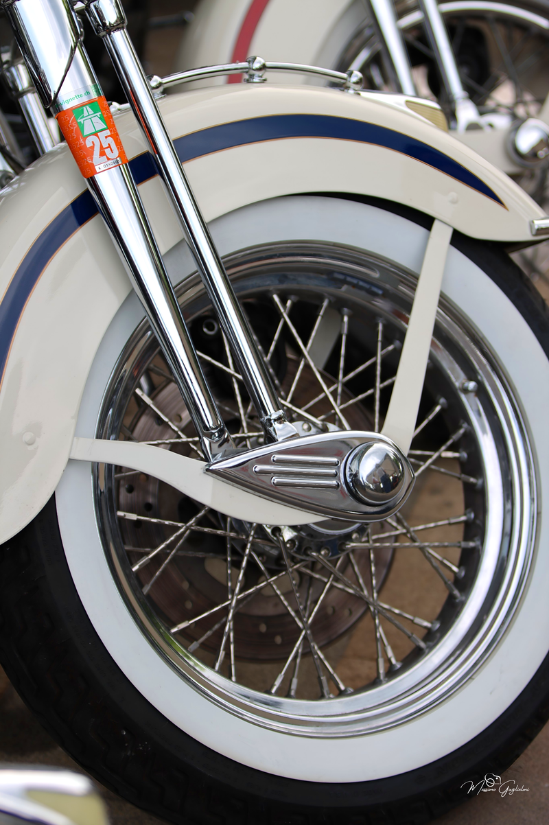 IL FASCINO DELLA HARLEY DAVIDSON