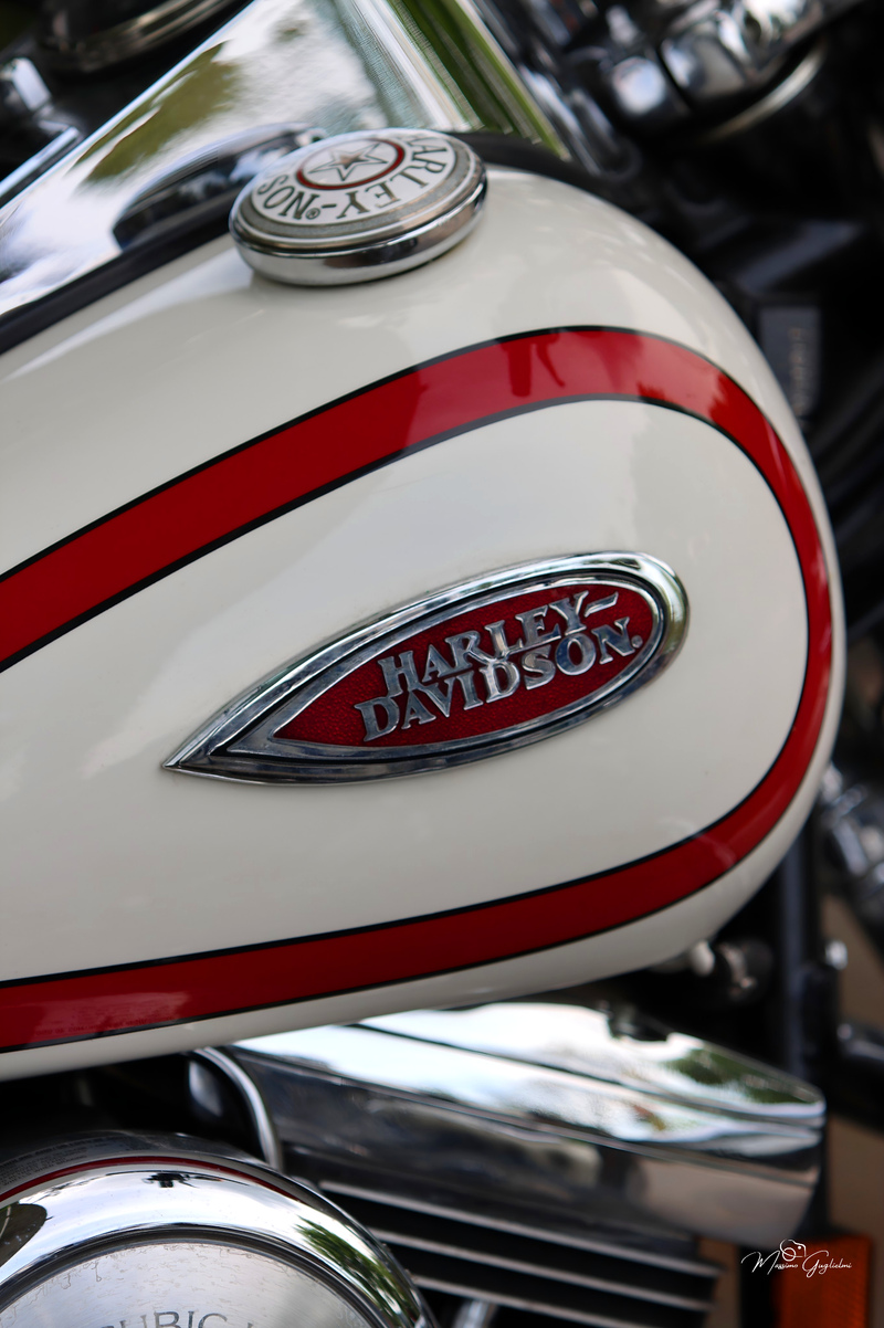 IL FASCINO DELLA HARLEY DAVIDSON