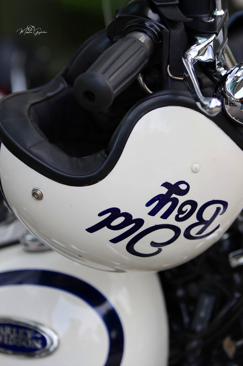 IL FASCINO DELLA HARLEY DAVIDSON