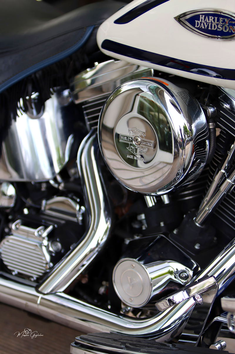 IL FASCINO DELLA HARLEY DAVIDSON