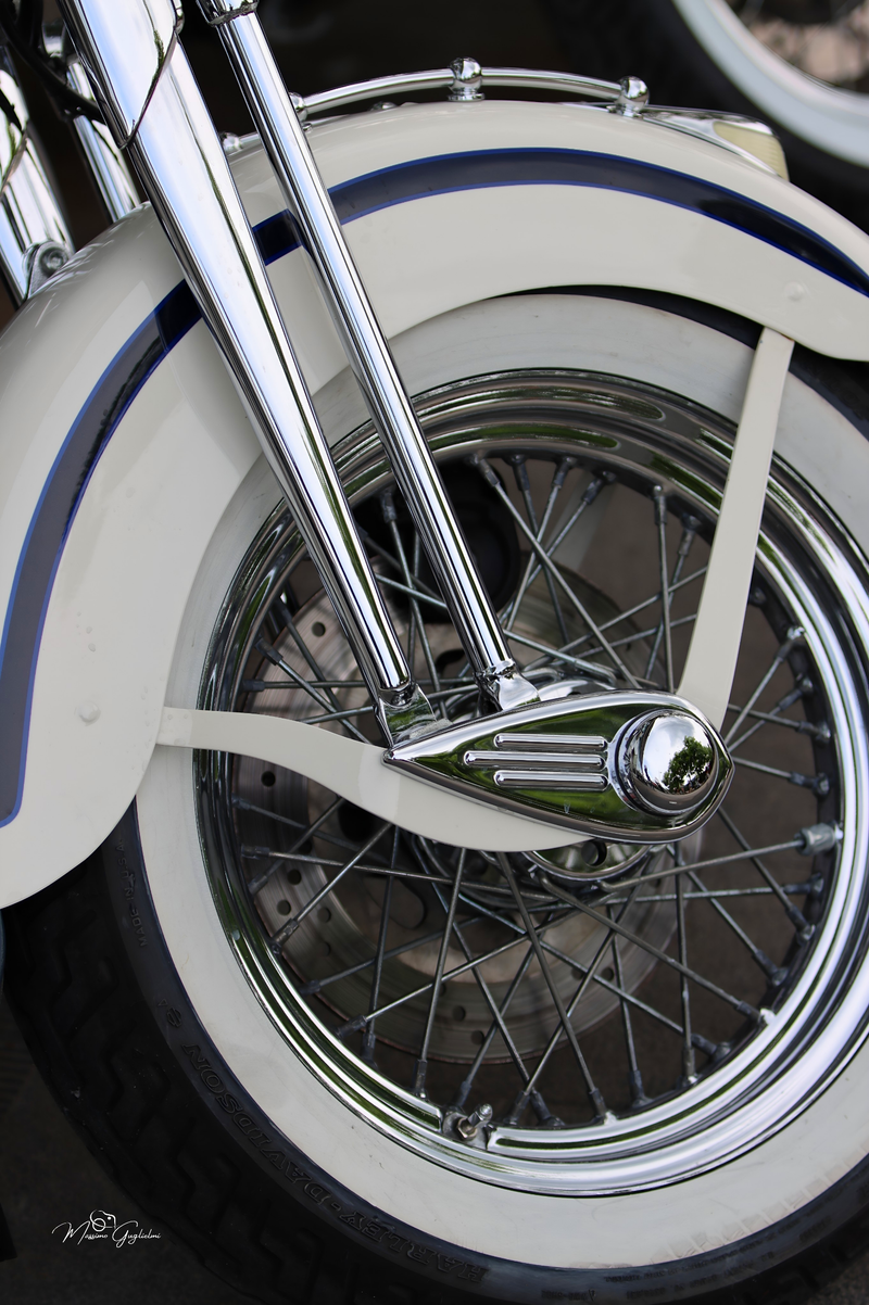 IL FASCINO DELLA HARLEY DAVIDSON