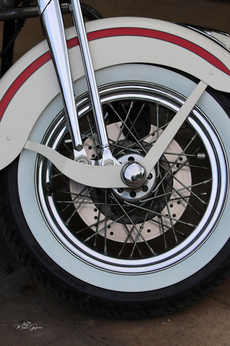 IL FASCINO DELLA HARLEY DAVIDSON