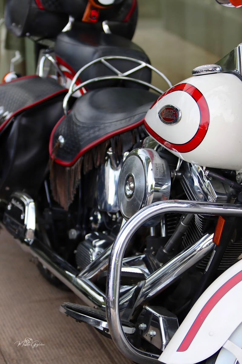 IL FASCINO DELLA HARLEY DAVIDSON